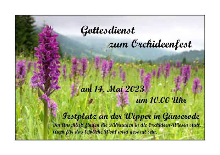 Günserode Orchideenfest 2023