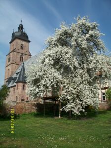 Pfarrgarten Bendeleben